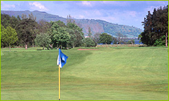 Kinross Montgomery and Bruce Golf Courses